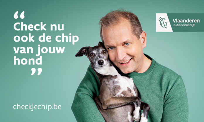 Chip je kat of hond