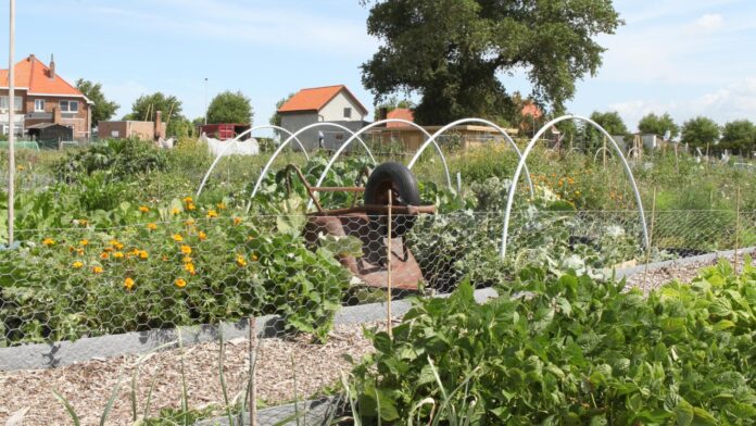 Open Tuindag